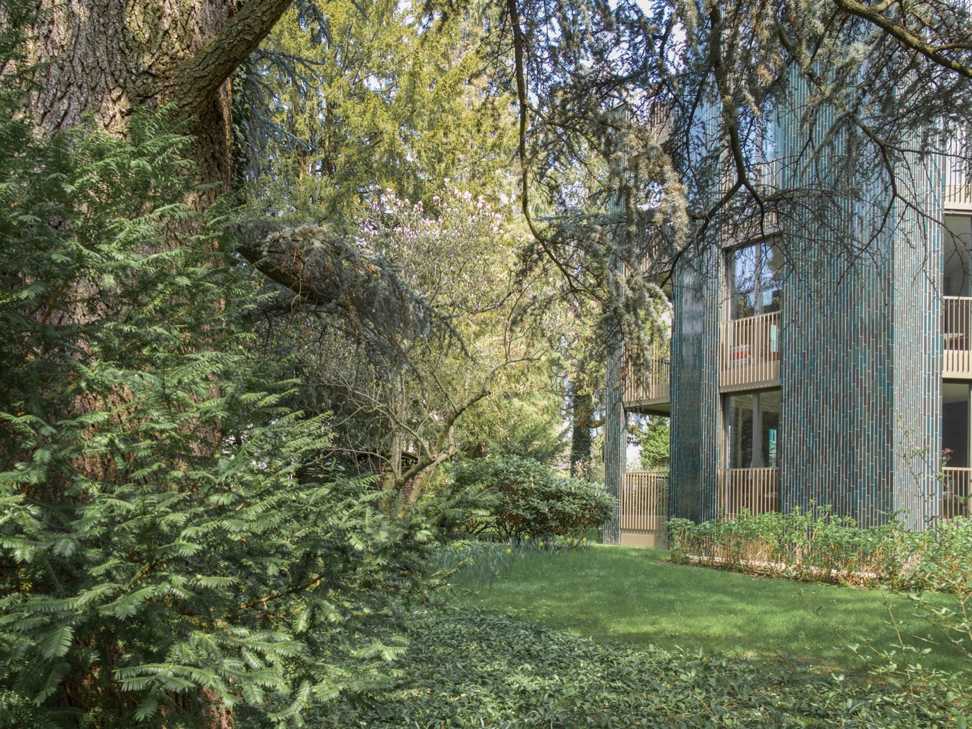 融合历史与自然的瑞士住宅设计-4