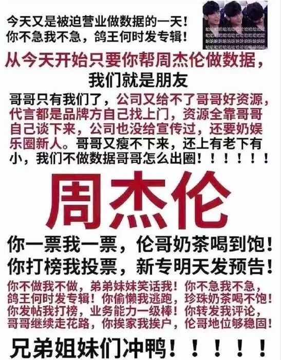 博洛尼“设计、环保、施工”三冠王,业主熬夜做数据应援-4