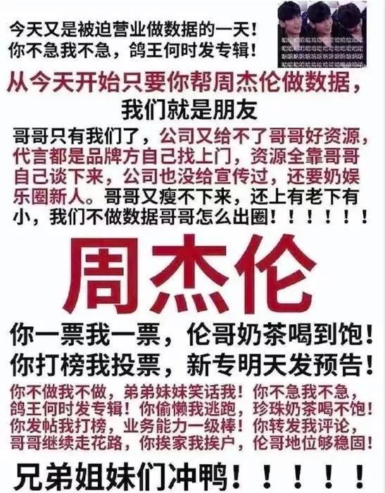 博洛尼“设计、环保、施工”三冠王，业主熬夜做数据应援-4