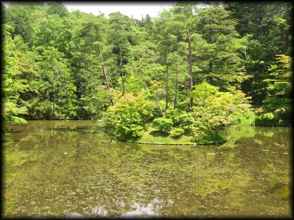 修学院离宫上离宫,隣雲亭与浴龍池-36