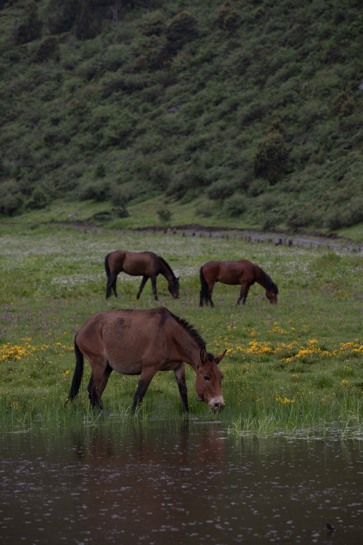 锦瑟·在野院丨中国云南丨岭众联合-32