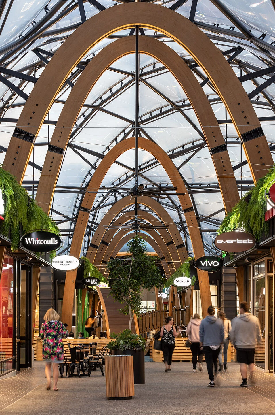 植物园巷丨新西兰奥克兰丨Ignite Architects-7