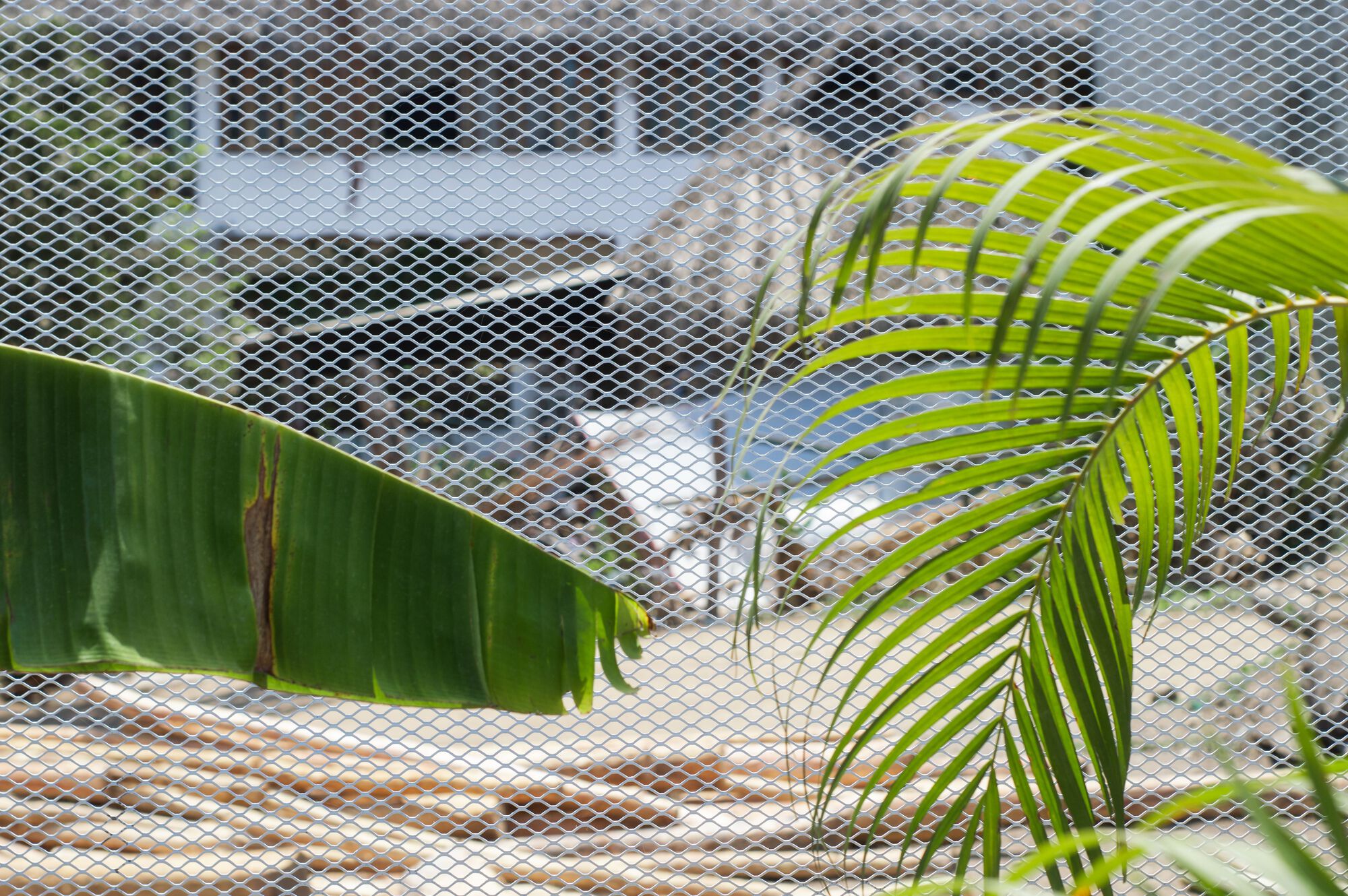 巴拉哈斯住宅丨墨西哥丨Nomic-29