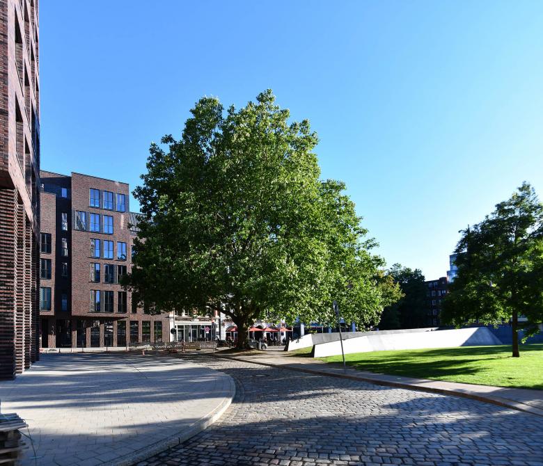 czerner göttsch architekten丨Gewerbe zu Wohnen am Domplatz丨德国-0