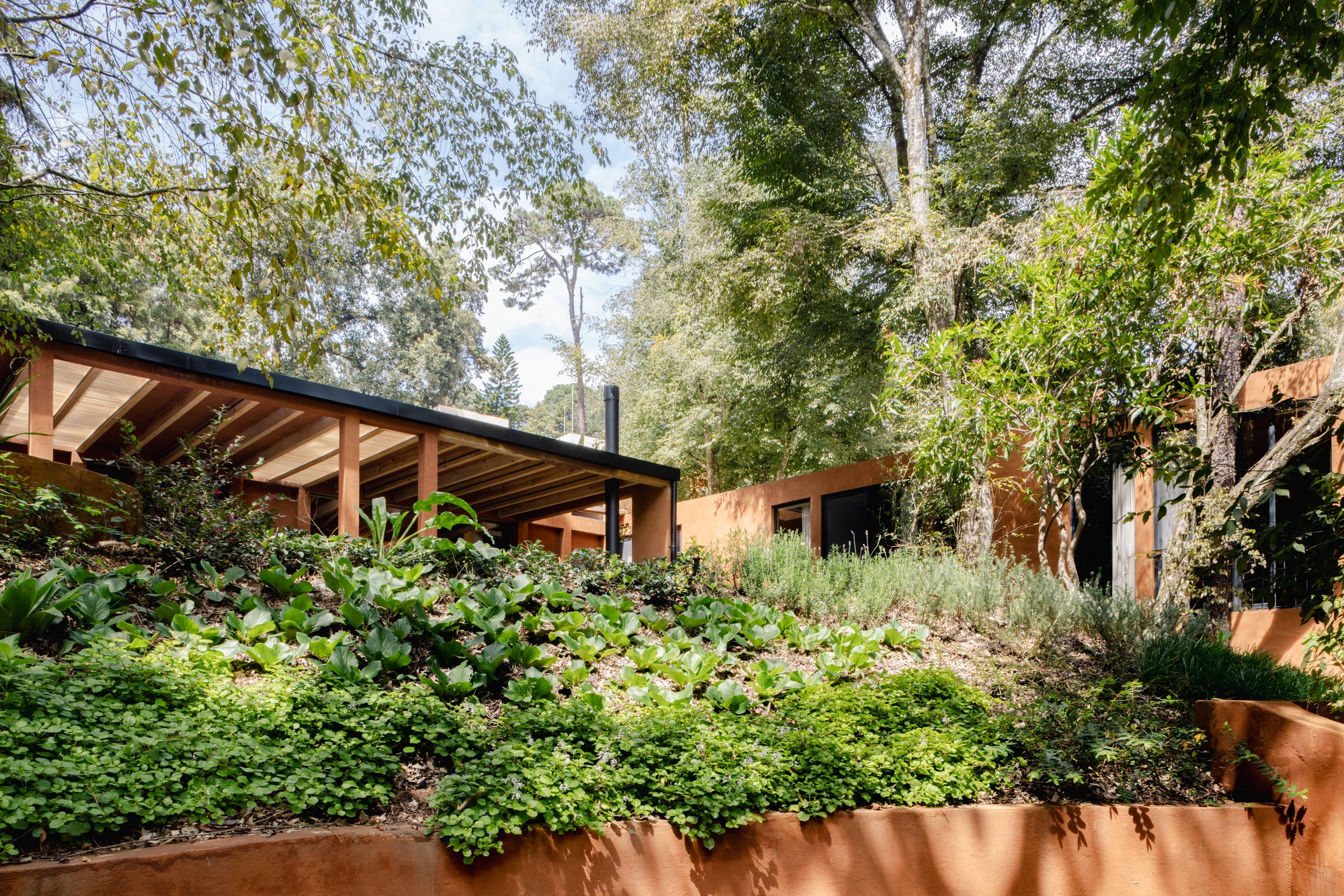 弗隆达尔宅邸丨墨西哥丨Taller MRD-6