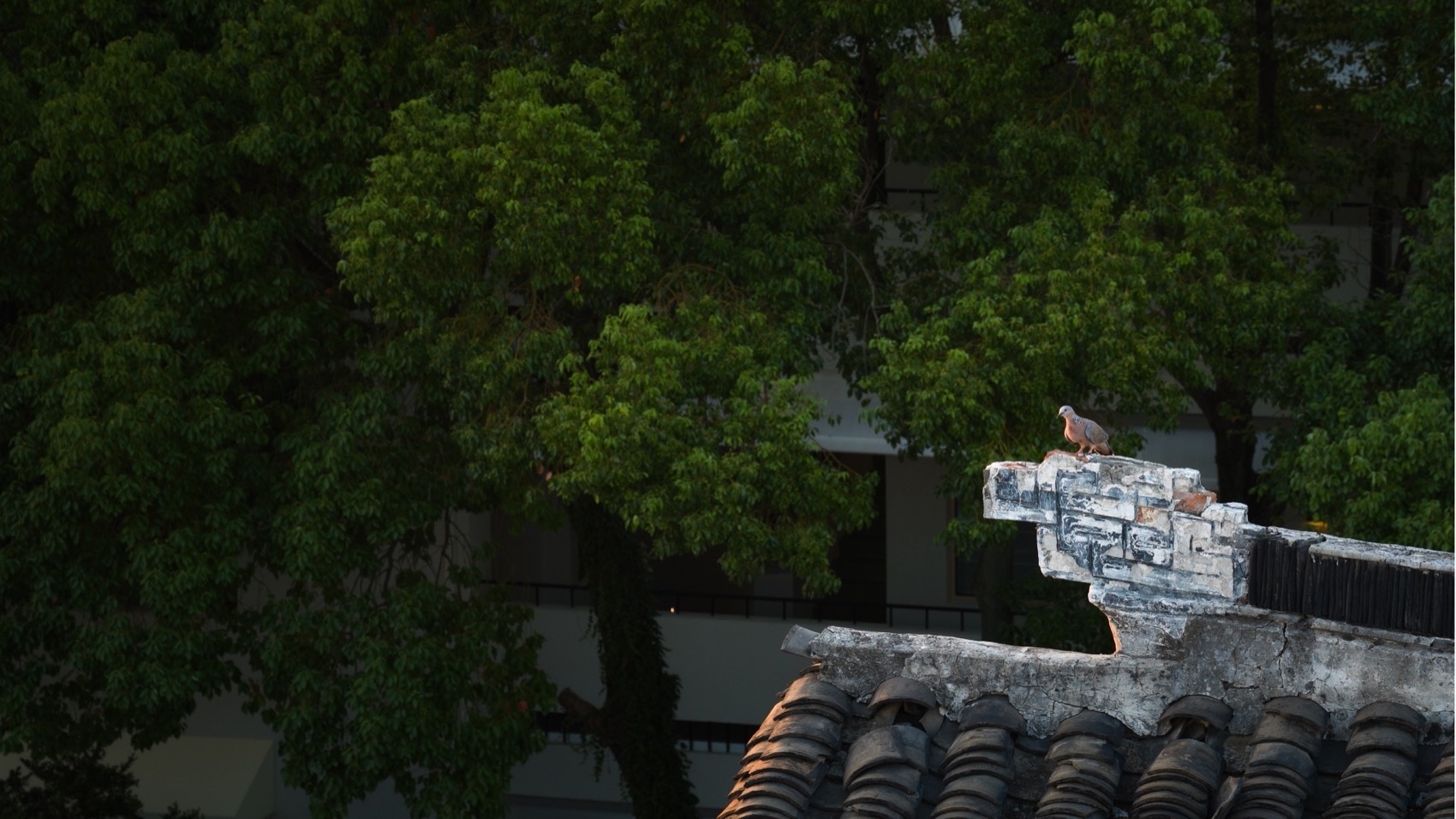 平江路松之屿民宿丨中国苏州丨咫间设计-11