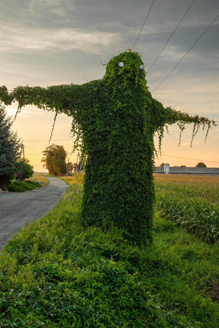 波兰奥波莱省“神秘生物”电线杆景点丨波兰波莱-8