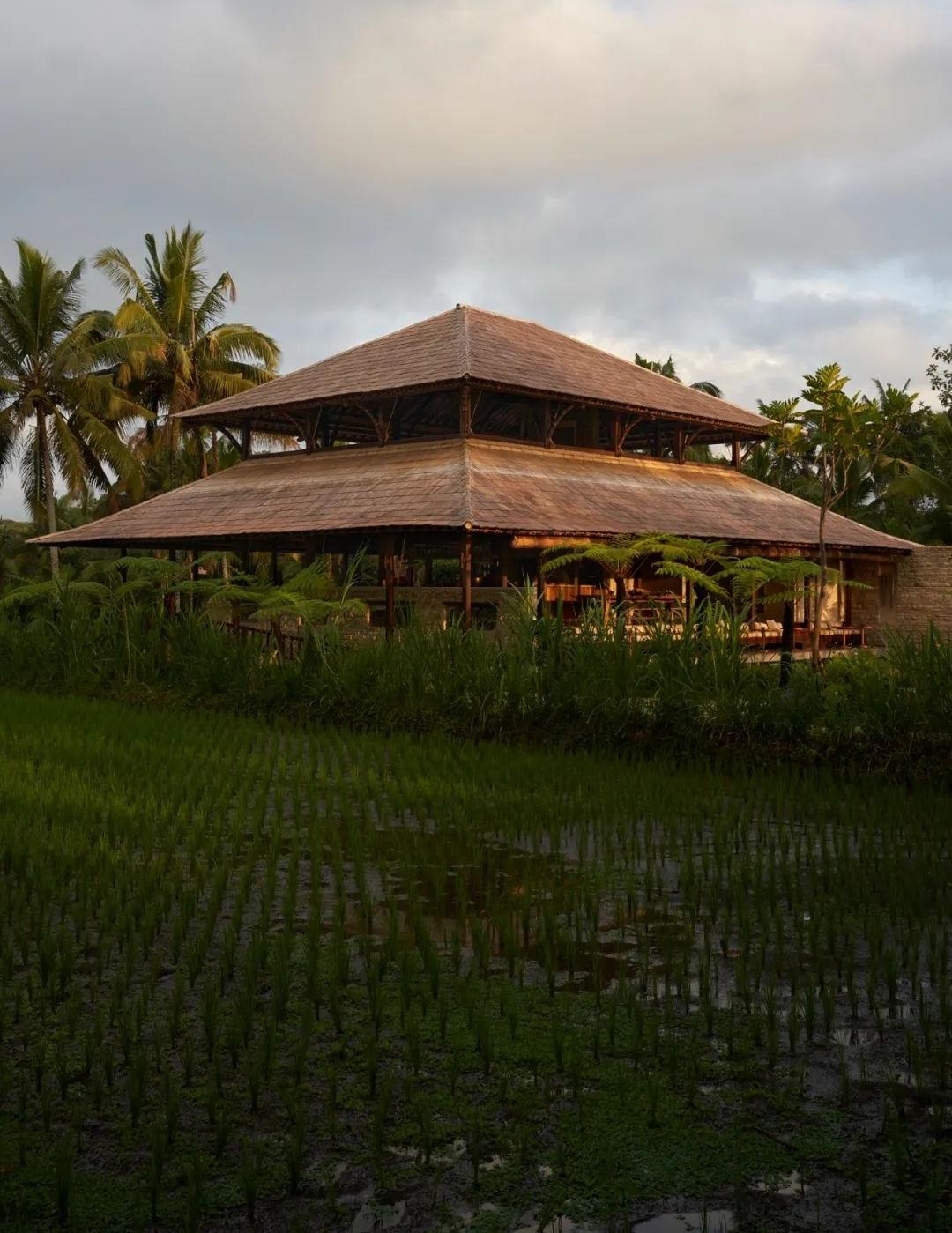 印尼 Begawan Biji 餐厅丨印度尼西亚巴厘丨Blanco Studio-25