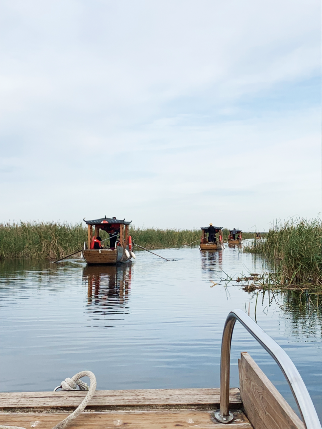 雄安白洋淀水岸公园景观设计丨TLS景观设计事务所-77