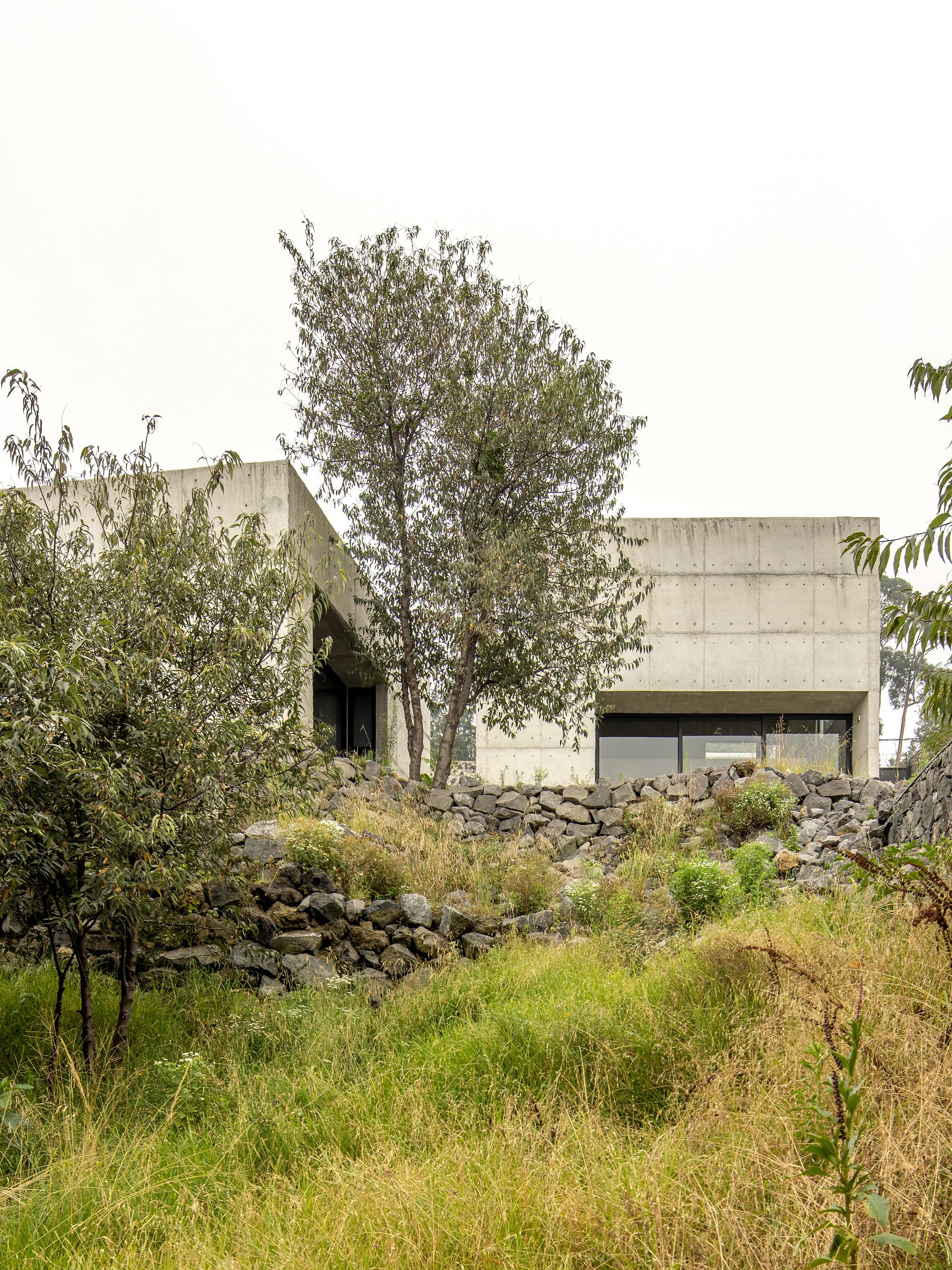 Colibrí House / ViGa Arquitectos-19