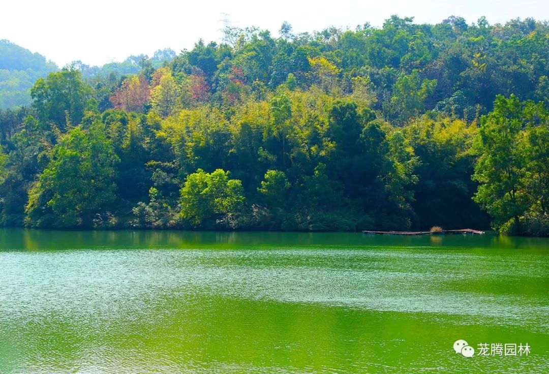 广东中山国家森林公园总体规划(2018·2027)-19