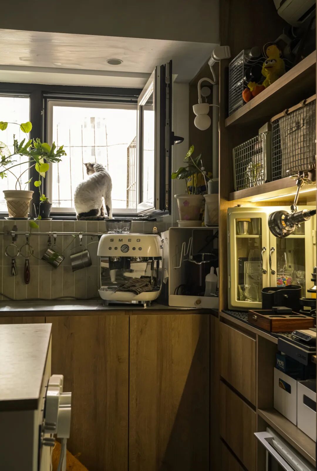 44㎡的治愈宇宙：一人四猫的共生乐园，小户型里的极致温柔-74