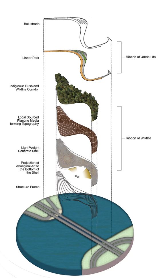 生态飘带景观桥丨澳大利亚堪培拉丨CX landscape-10