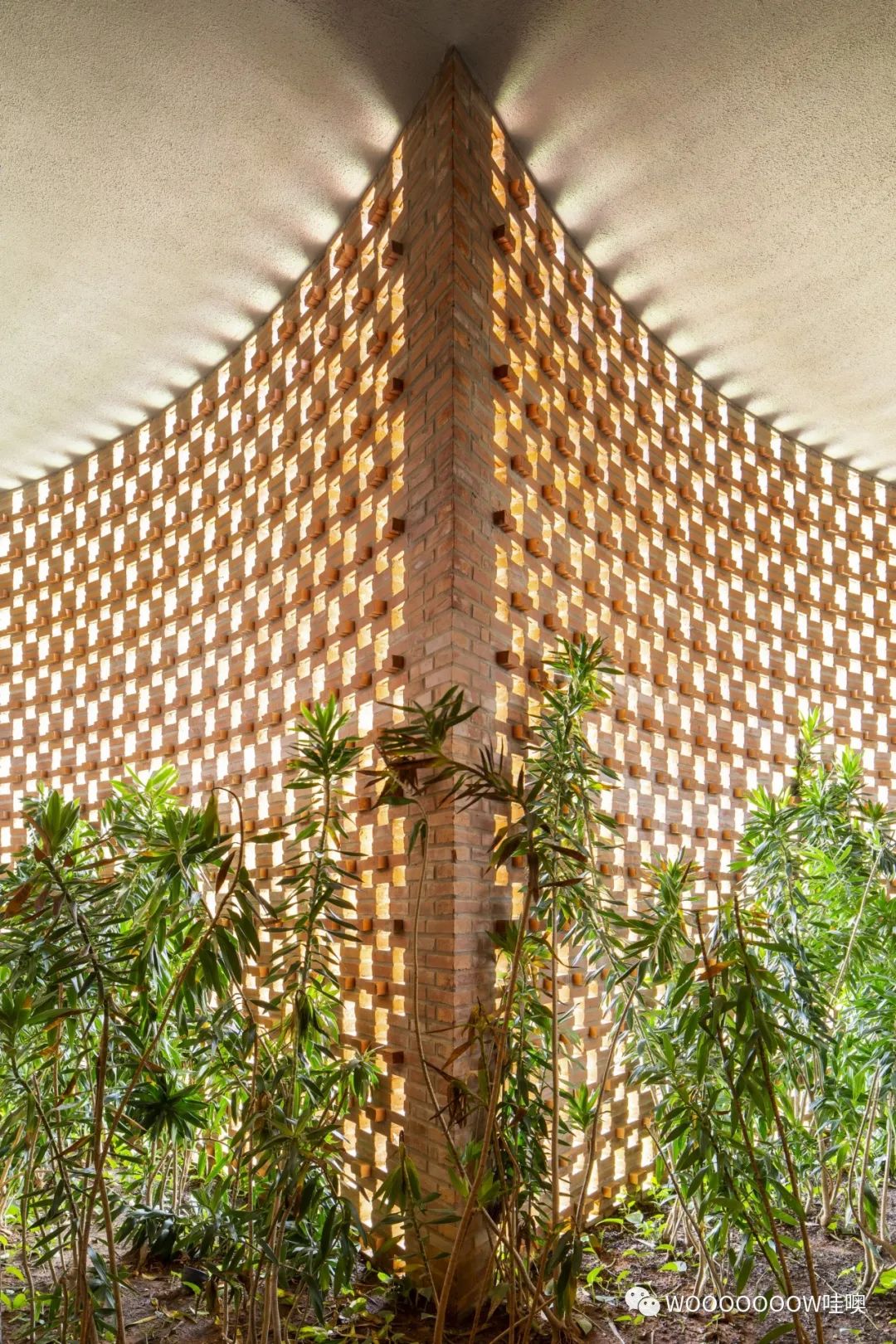 巴西 Unileão 大学体育馆 | 砖纹理与绿意空间的巧妙结合-10