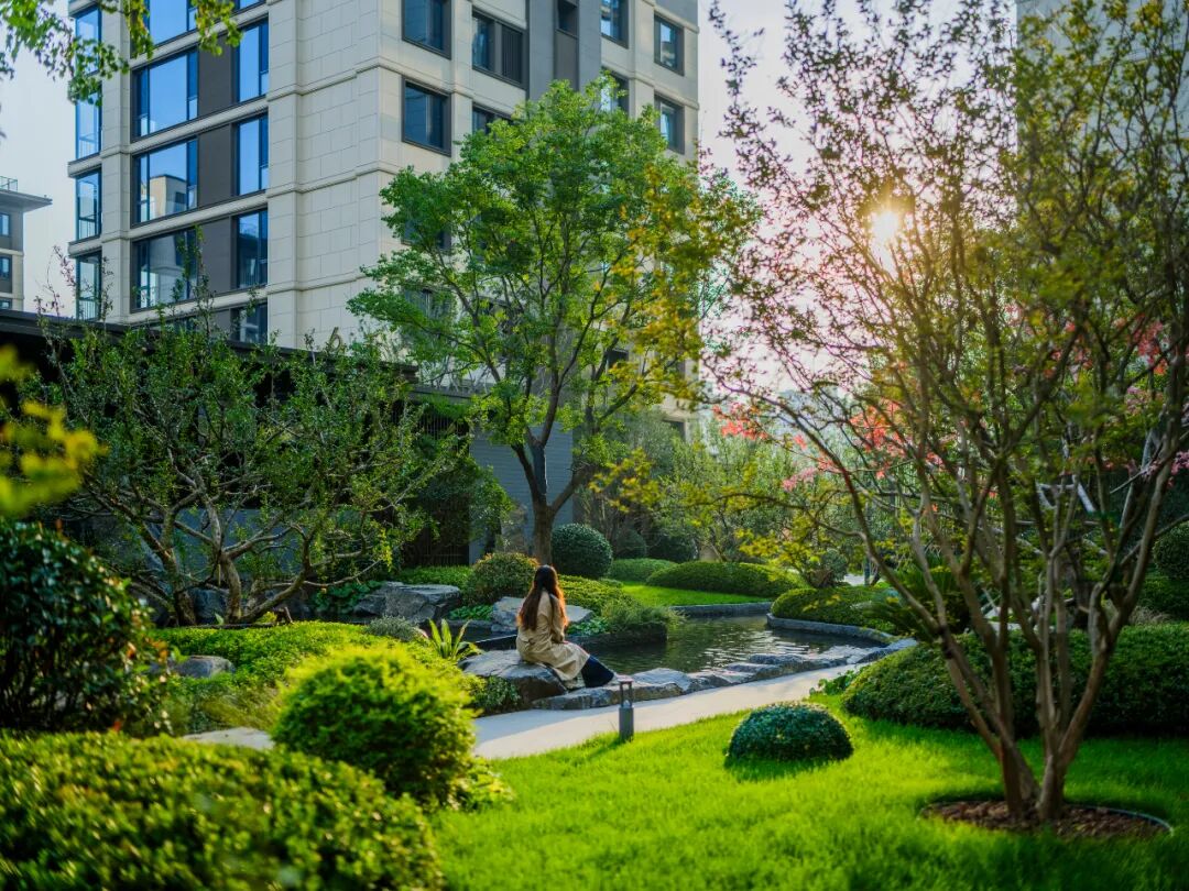 邯郸 · 天正 · 凤鸣九章丨中国河北丨麦田景观-44