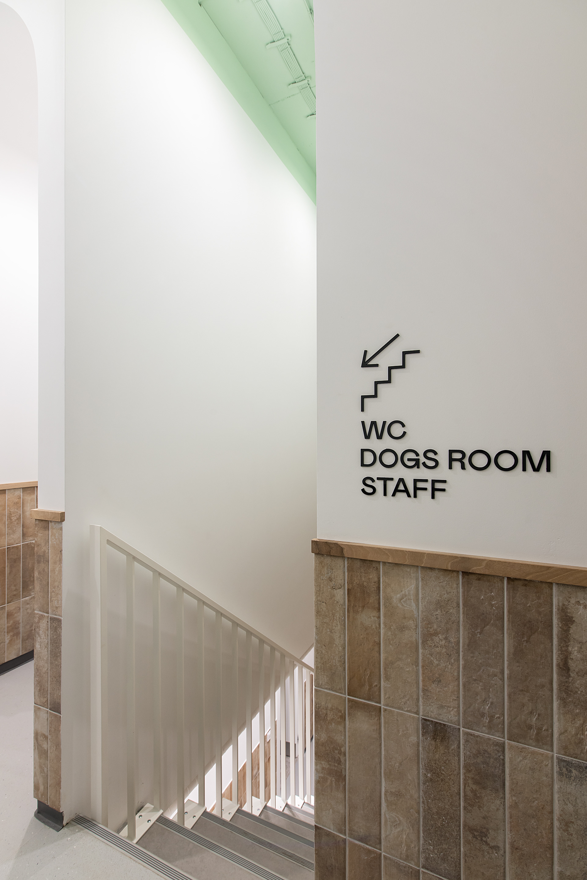 宠物医院丨乌克兰基辅-34