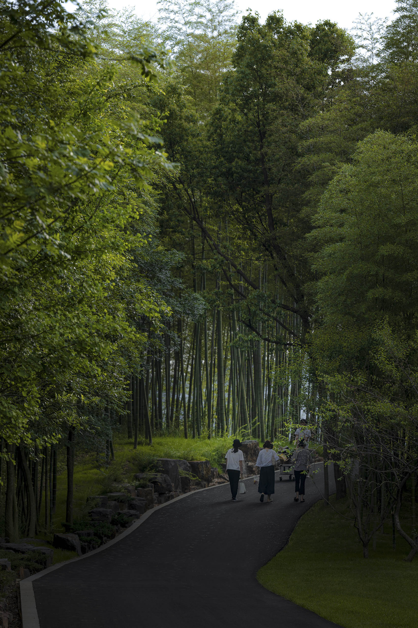 荒野中的明灯 · 宜兴窑湖镇青鱼湖公园丨Change Studio-47