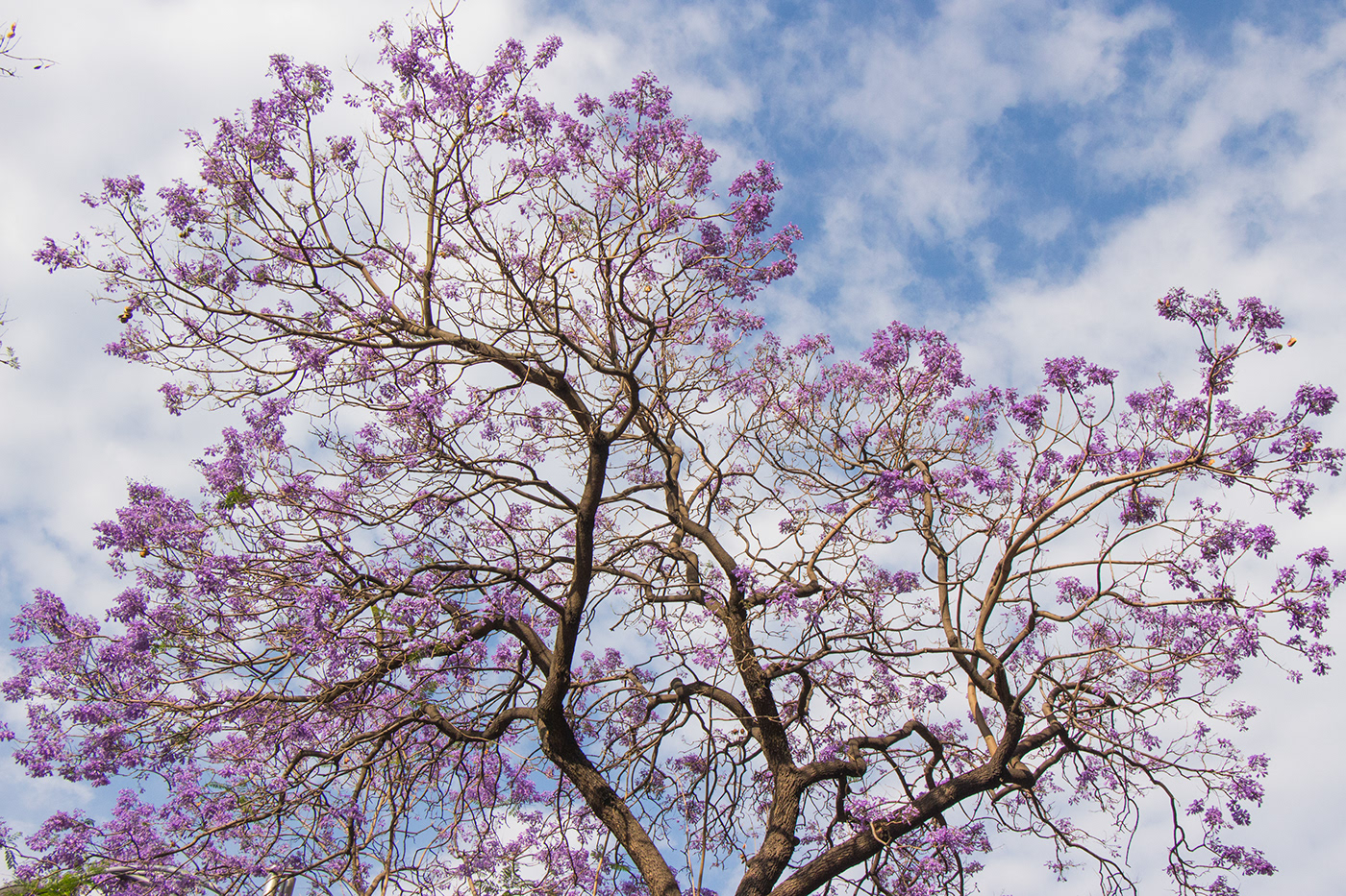 Fotografías Centro Histórico-2