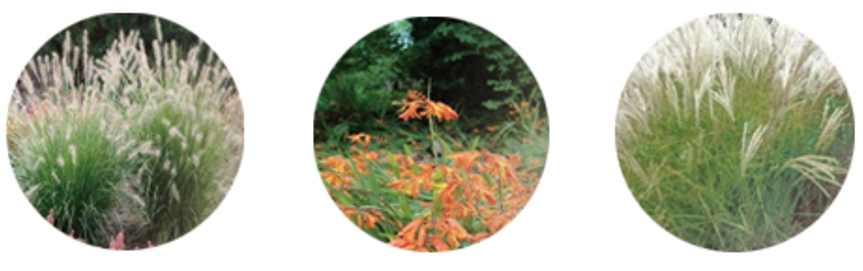 金地中心丨中国盐城丨LAURENT罗朗景观-66