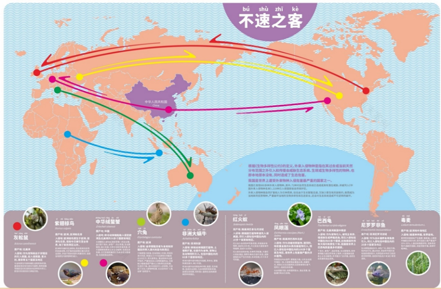 案例 | 上海首个在公园中的自然中心——和平公园自然中心-59