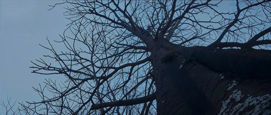 我未能找到PANIKHIDA的确切、通用的对应翻译可能它是一个较为生僻的术语、特定文化或宗教相关的词汇请补充更多关于该词的语境信息,以便我能更准确地进行翻译目前暂时无法提供有效翻译 丨Artur Tamioła,Bartosz Domiczek-24