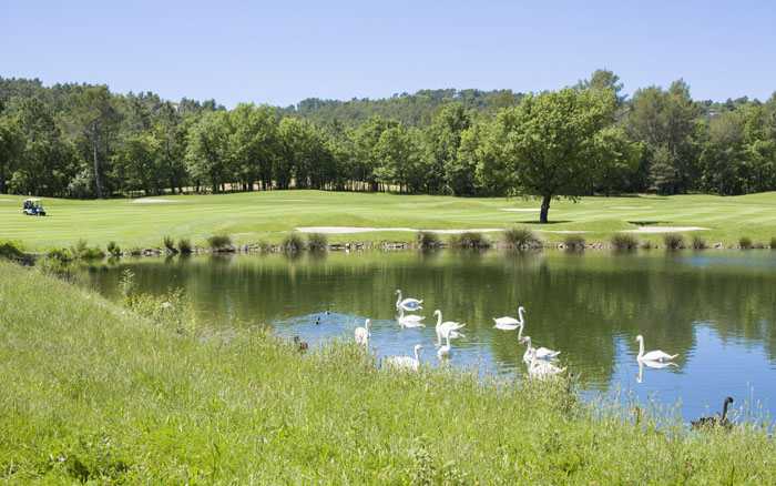 法国南部奢华别墅设计,贵族生活体验-24