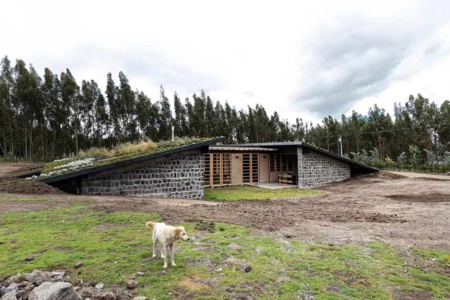 厄瓜多尔 Patios 住宅 | 自然景观中的绿色之家-4