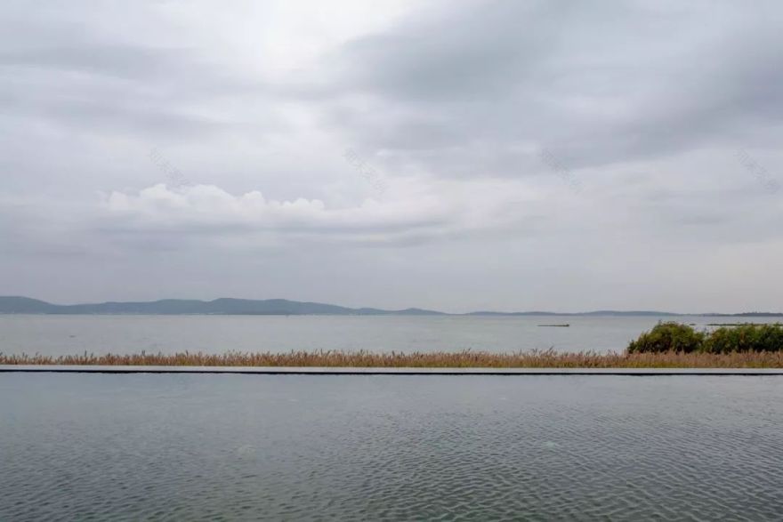 《雁归来》 | 水乡文化的现代解读-125