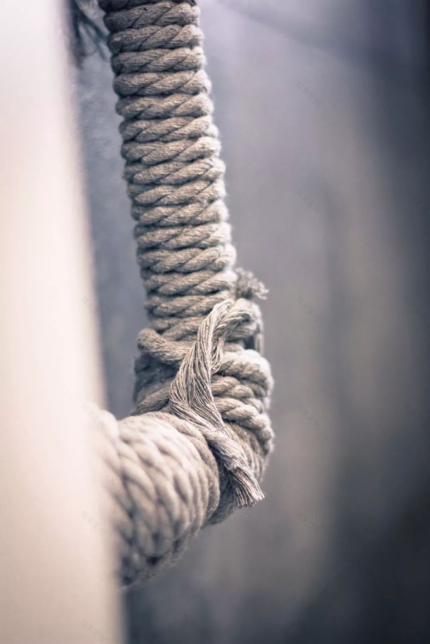 88㎡北欧阳光宅地,感受旅行与狗粮的浪漫-83