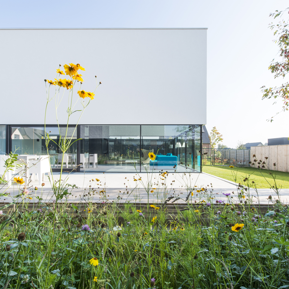 比利时小地块上的现代木构住宅-51