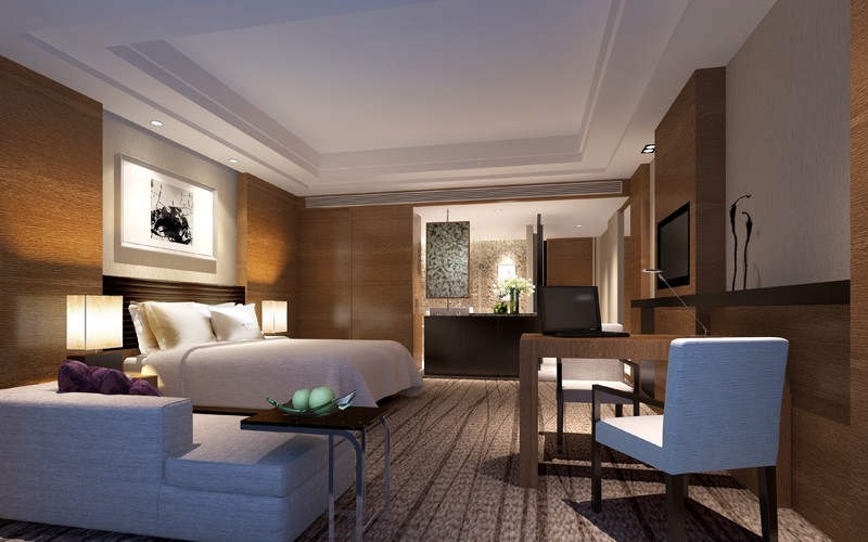 湖南鑫远白天鹅大酒店-27