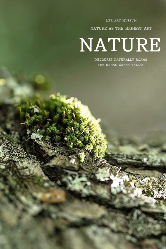 绿城桐乡和园丨中国丨AKASA万界设计事务所-0