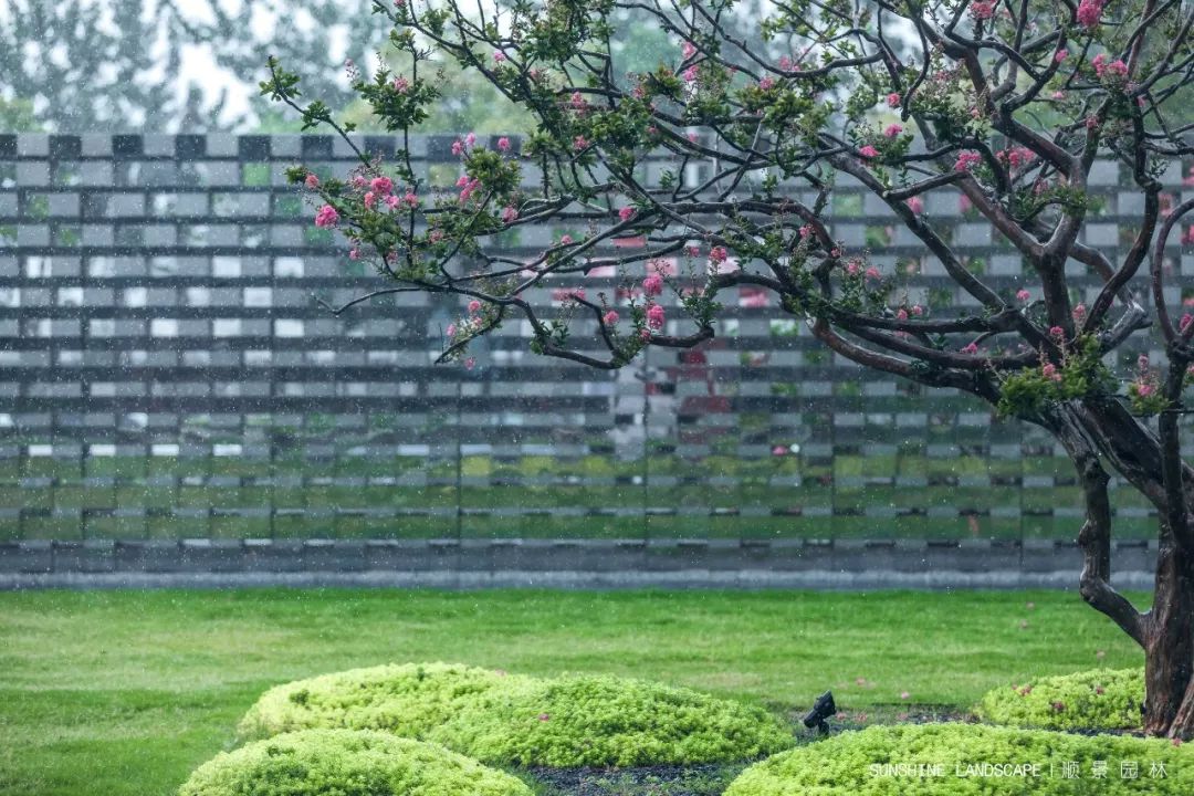 数理秩序&律动之美 | 腾讯双创小镇（青岛）项目展示中心-94