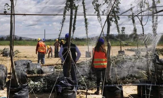 麻省理工科技评论：世界最大烂尾机场的再野化之路-48