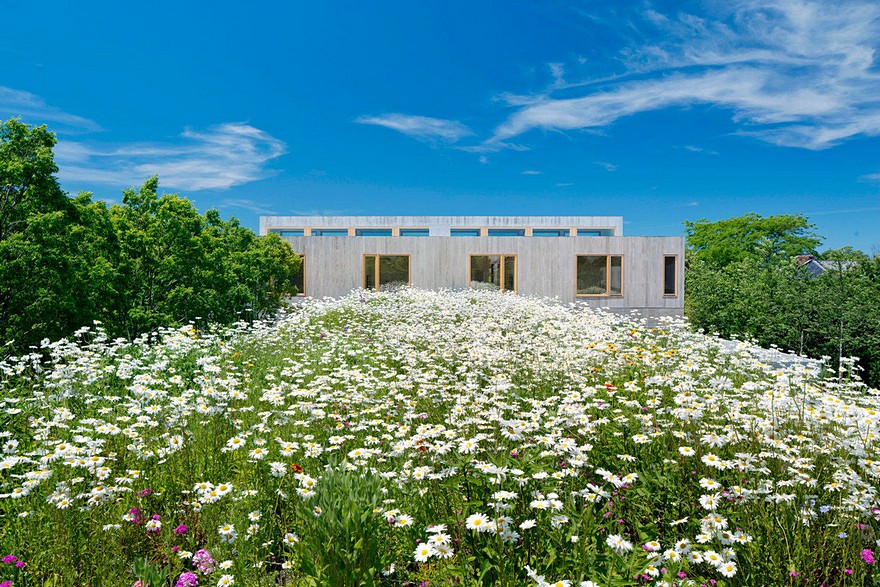 Modern Waterfront House Designed for a Family of Three Generations-28