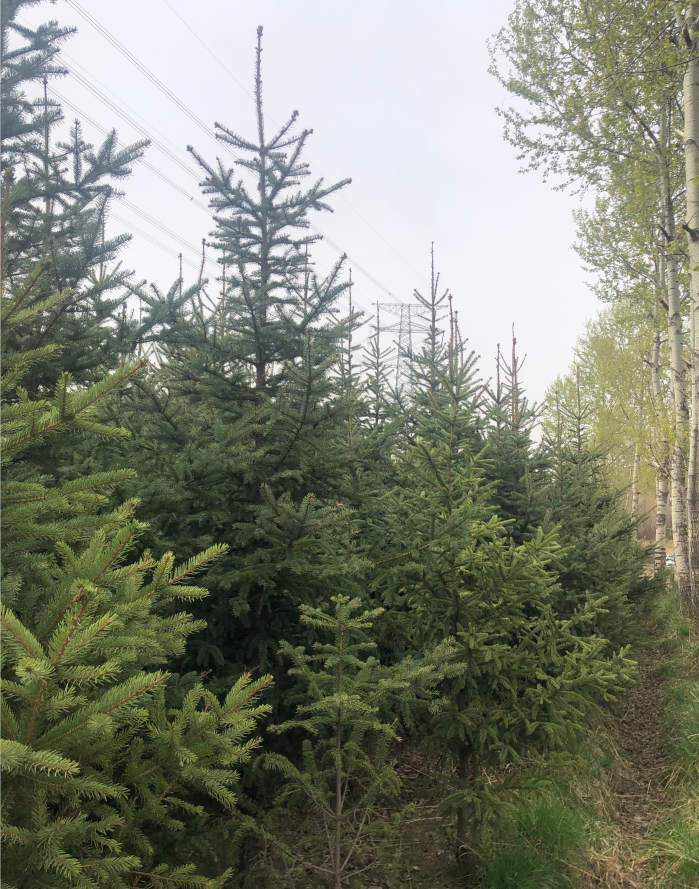 西宁万科城的美好生活场景，城市绿洲为西宁而定制 | 西宁·万科城一期-126