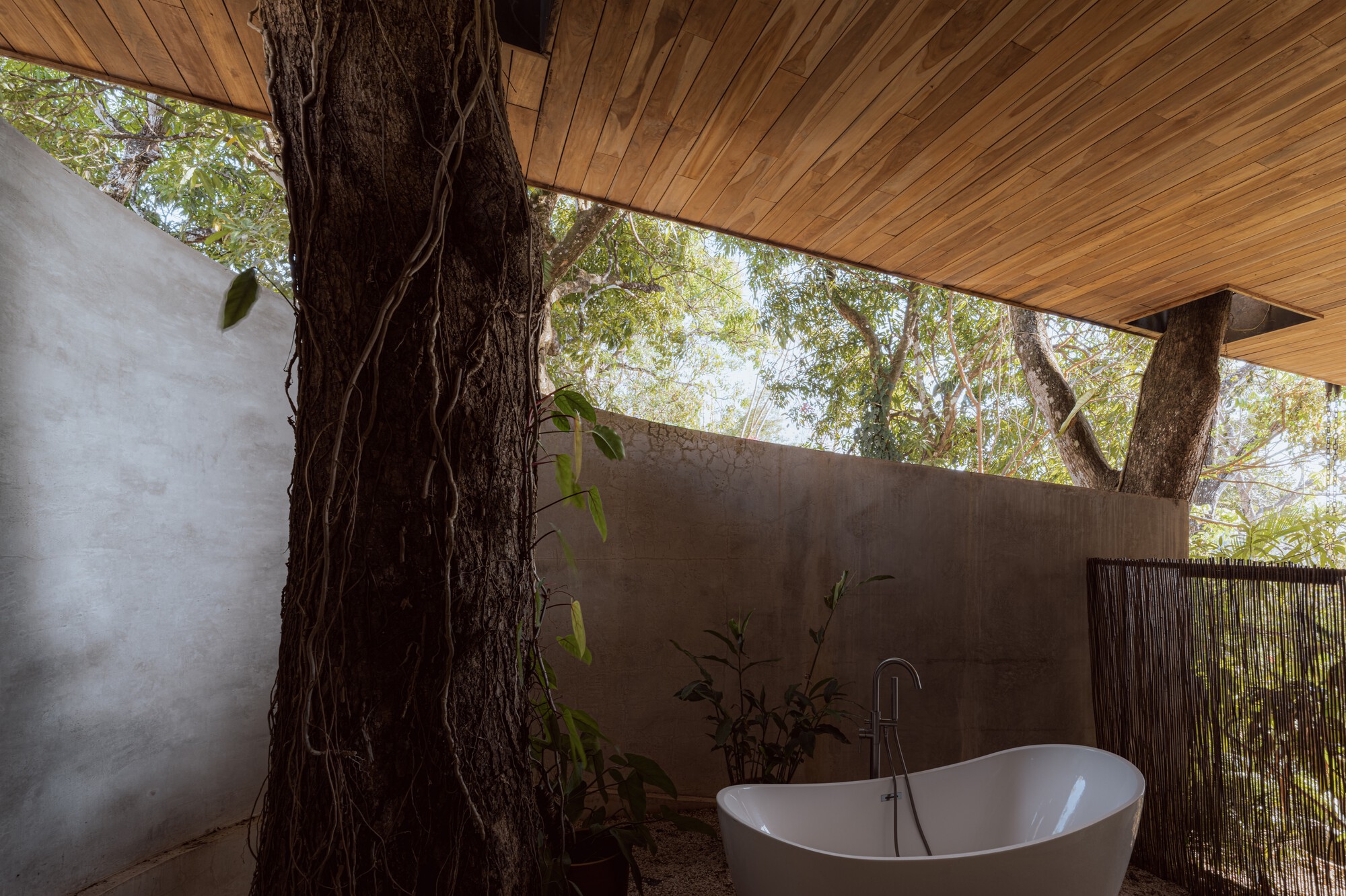 团结党大厦（注：Bersatu一般指马来西亚土著团结党，结合实际情况Bersatu House可理解为该党相关的大厦等建筑） 丨哥斯达黎加丨Estudio D3B-22