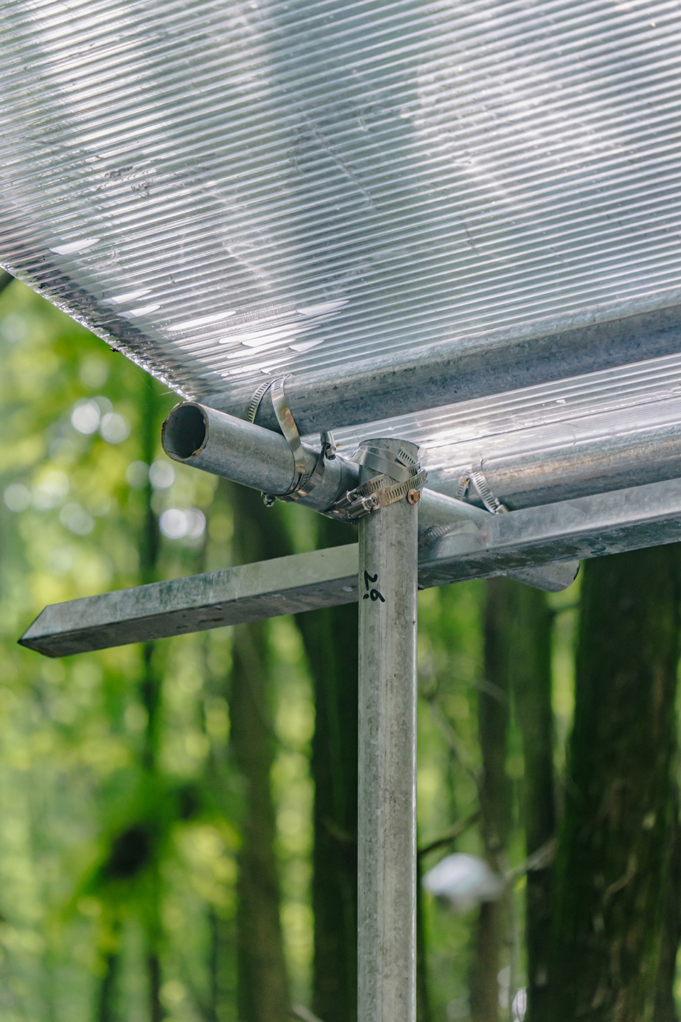 水上森林公园临时展亭丨中国杭州丨已知建筑-53