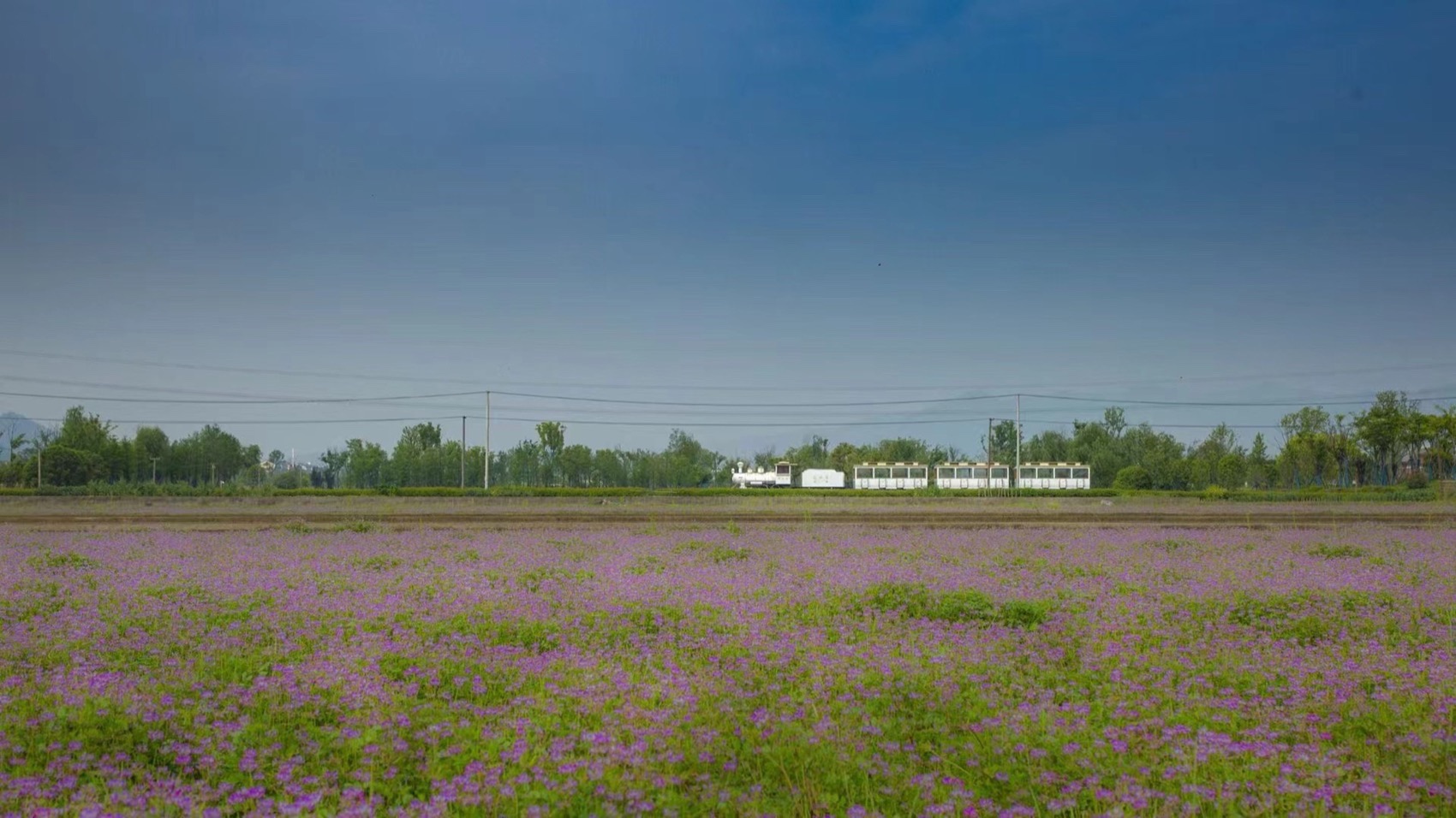 杭州富阳阳陂湖生态修复治理项目（一期）丨中国杭州丨中国电建集团华东勘测设计研究院有限公司,汉嘉设计集团股份有限公司-63
