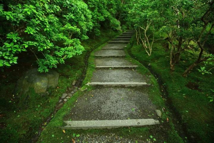 庭院满青苔，极美！-61