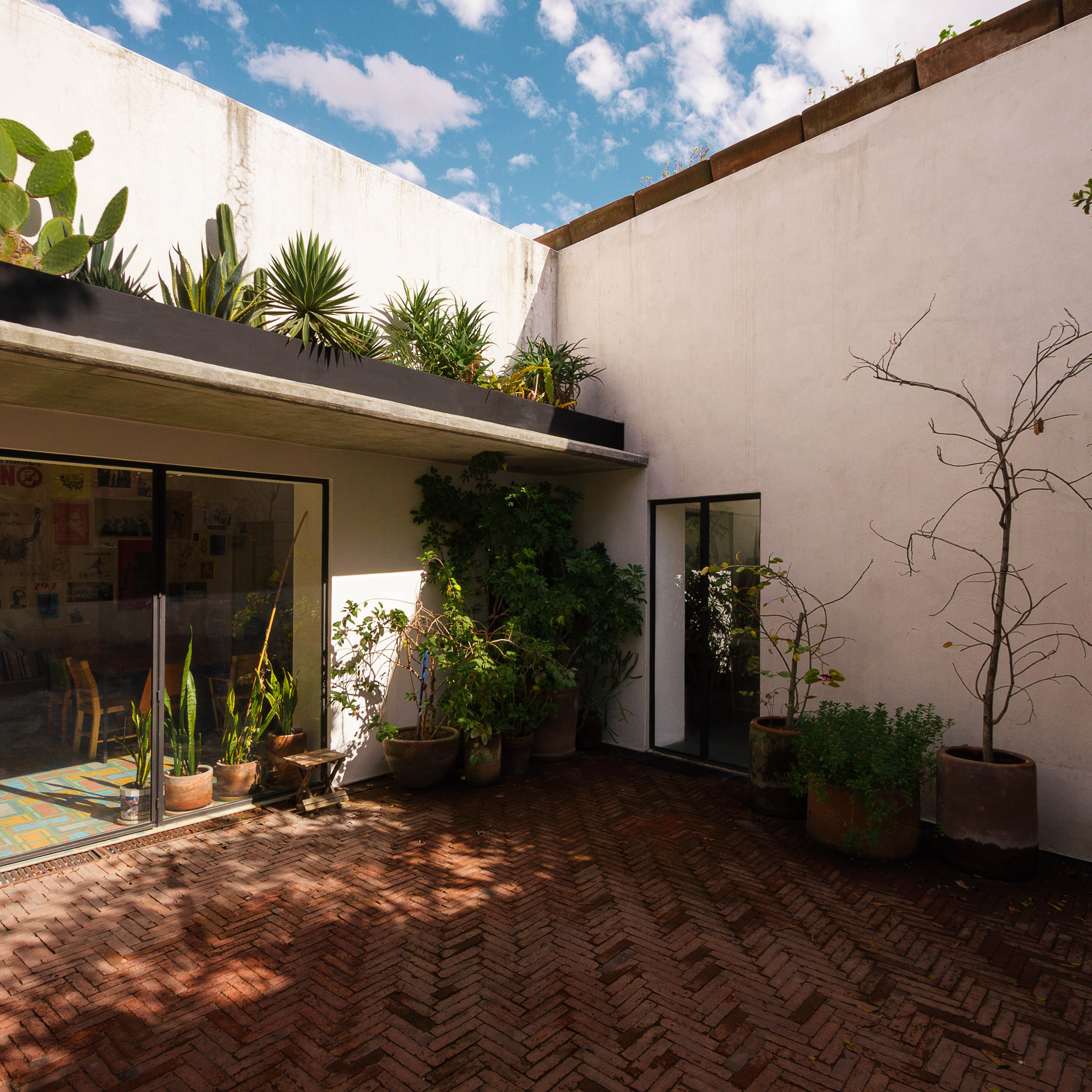 Andres Stebelski opens artist's house to courtyard in Mexico City renovation-0