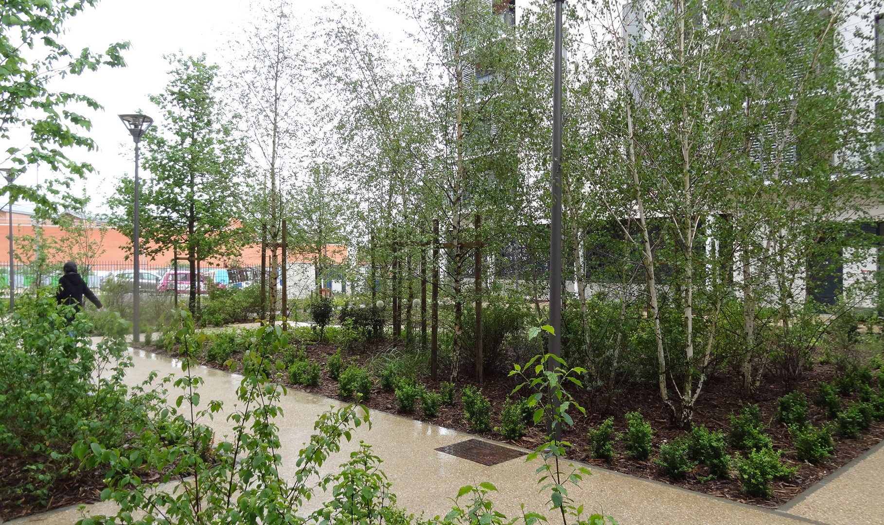 Programme de logements Cogedim - ZAC de la Marine - La Compagnie du Paysage-29