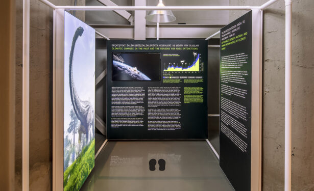 丨土耳其伊斯坦布尔-25