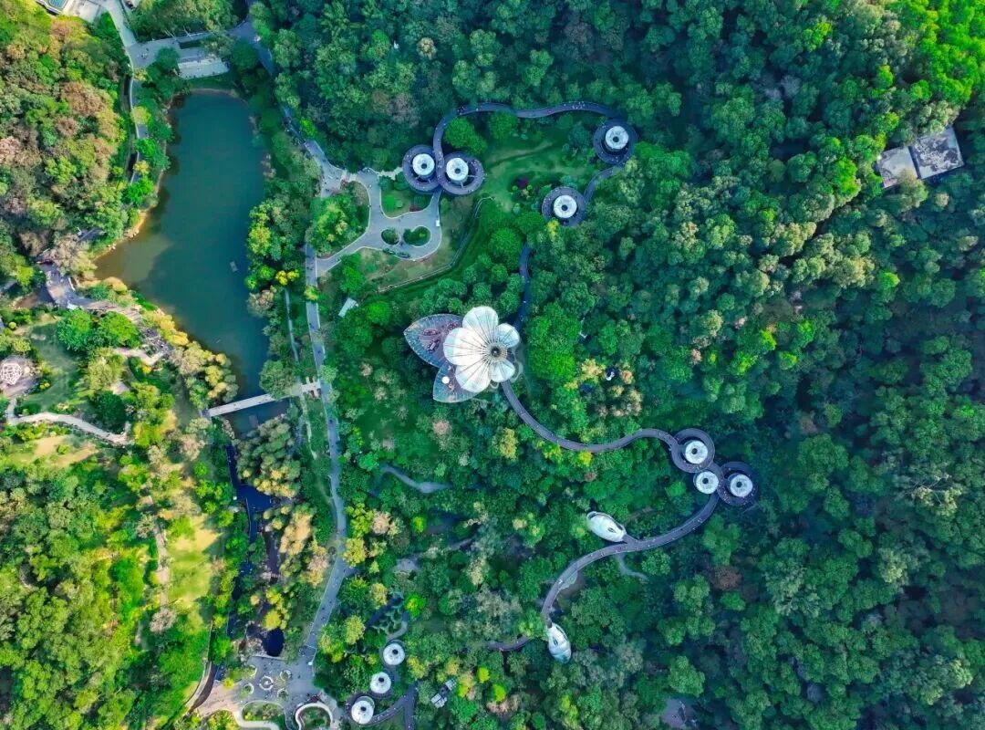 秋游啦！广州这个“靓出片”的景点不容错过-6