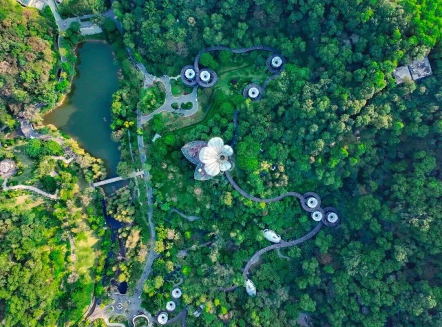 秋游啦!广州这个“靓出片”的景点不容错过-6