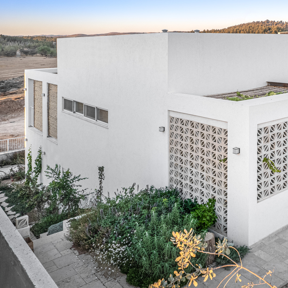 以色列 Goldwasser 别墅丨Architextit Einat ErezKobiler-15