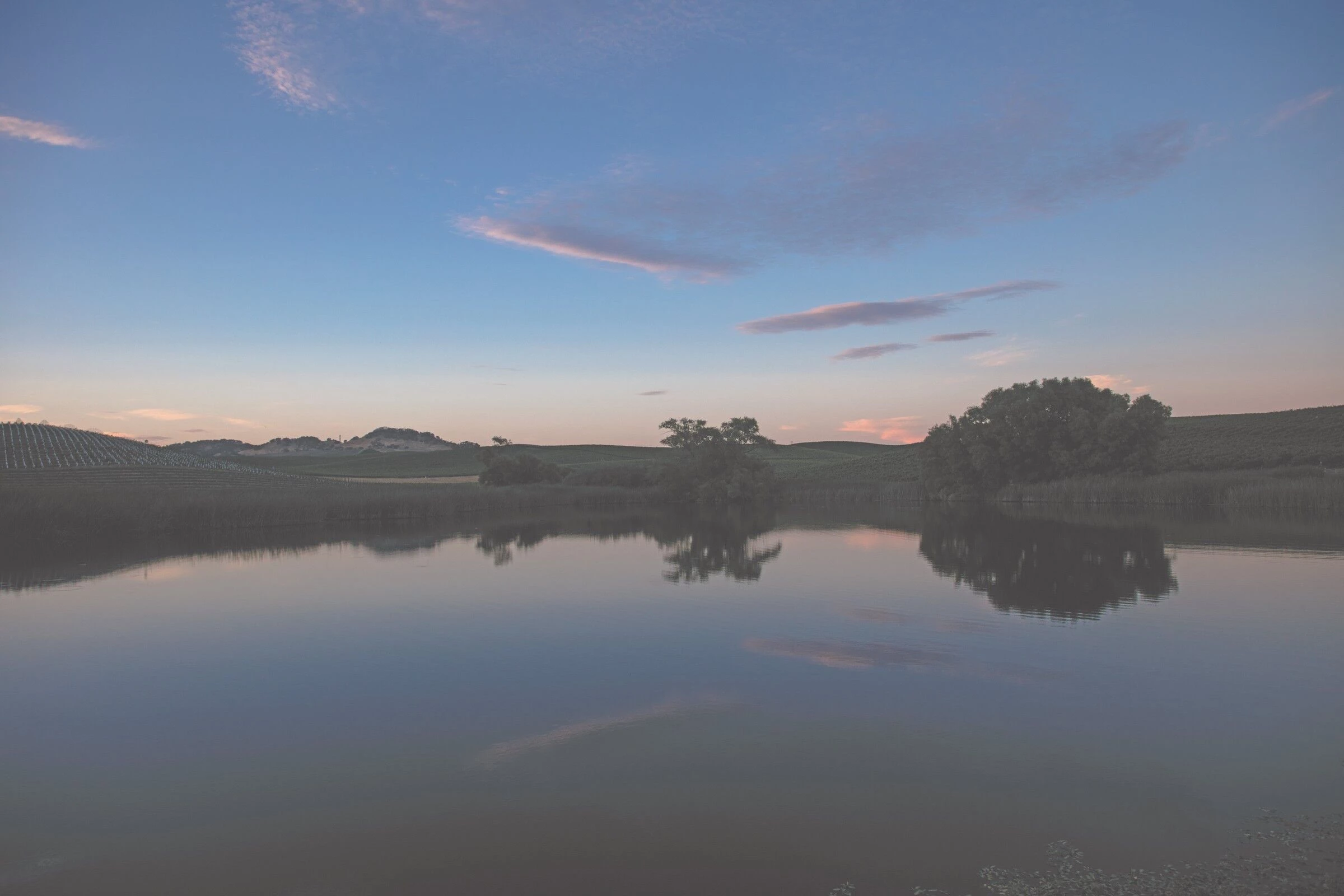 多努姆之家丨美国加利福尼亚丨Studio David Thulstrup-33