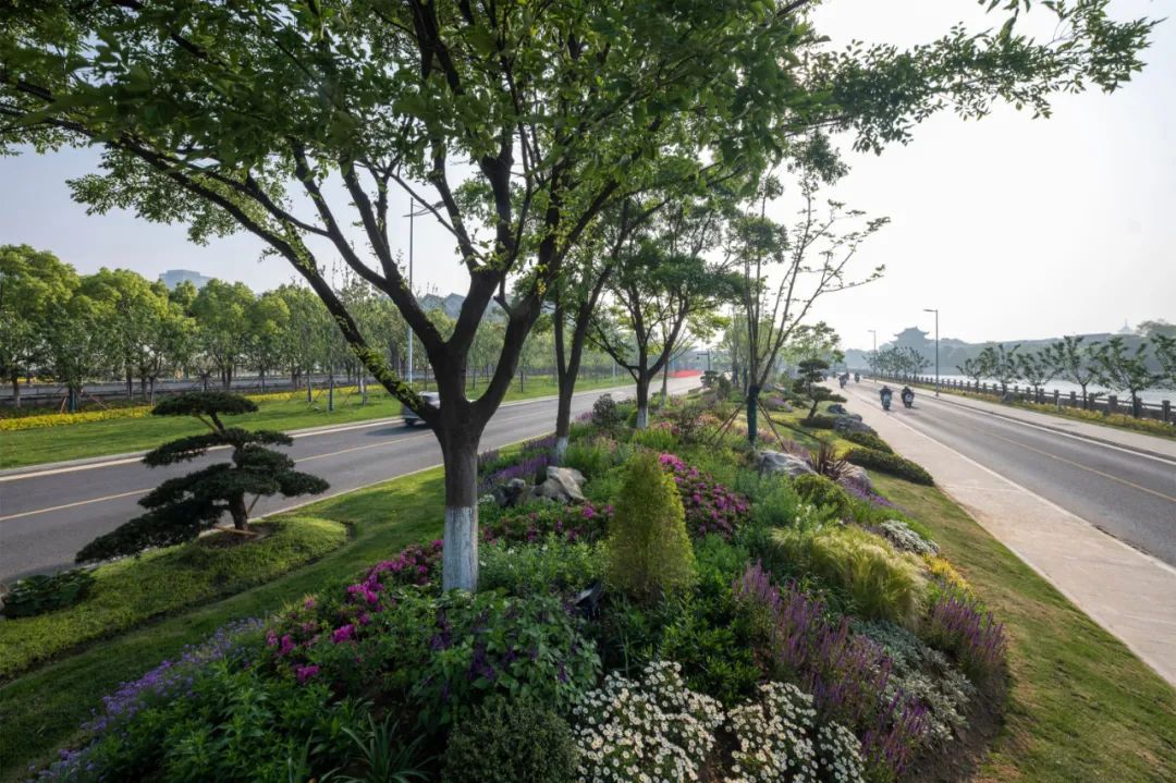 公园城市,苏州火车站震撼升级丨中国苏州丨筑园景观-32