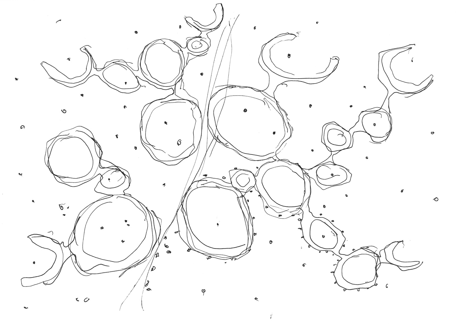 和平之园 · 一战遗址上的艺术冥想空间-34