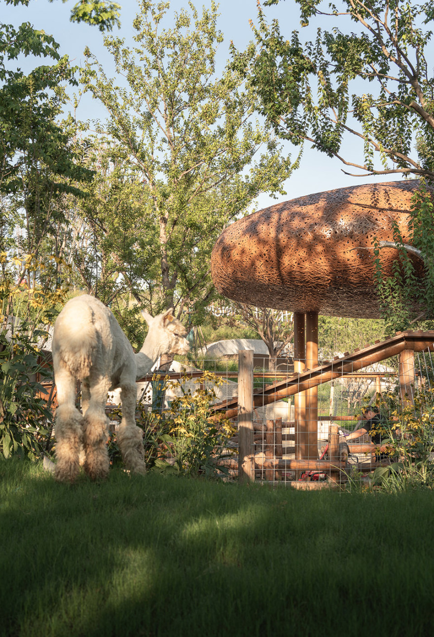 武汉麓客岛动物农场丨中国武汉丨万社设计-180